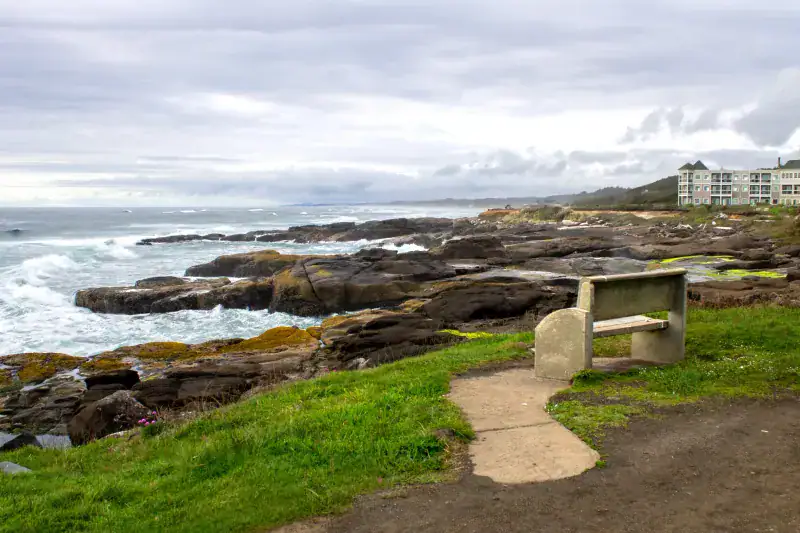 Where Forest Meets Ocean in Perfect Harmony