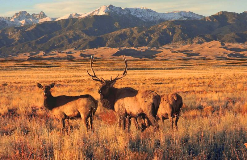 Respect Wildlife Year-Round