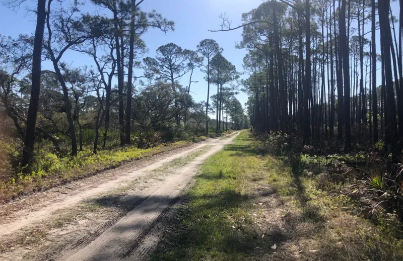 St. Vincent Island, Florida