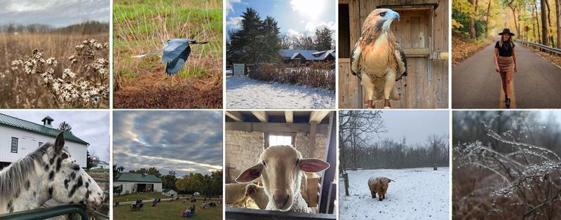 Aullwood Audubon Center & Farm (nearby)