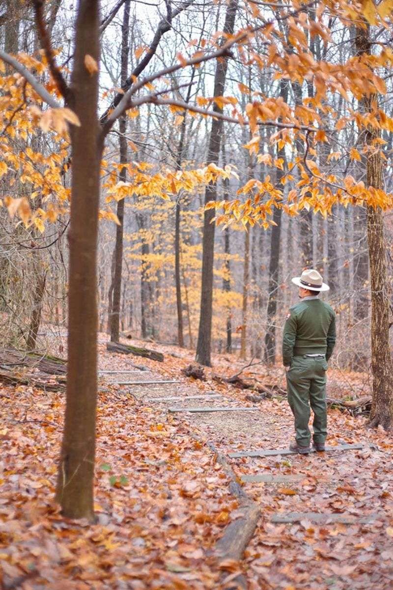 Valley Trail (Rock Creek Park) — Washington, DC