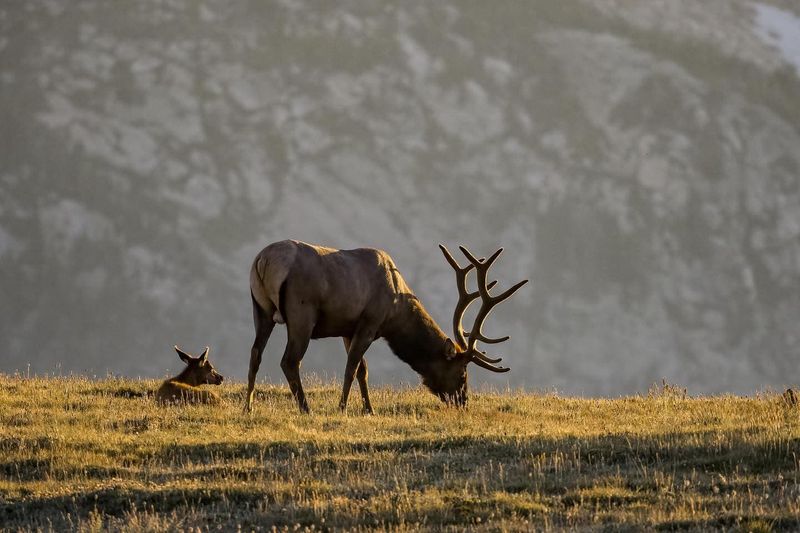 Rocky Mountain National Park – Kawuneeche Valley (Colorado)