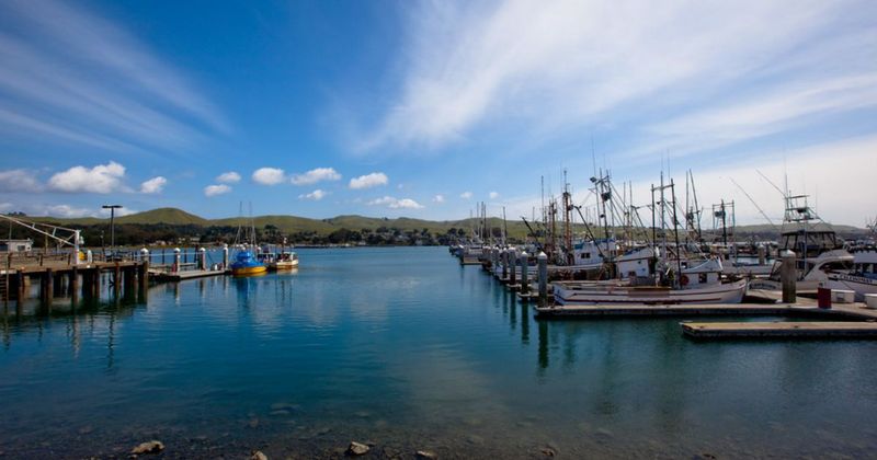 Bodega Bay, California