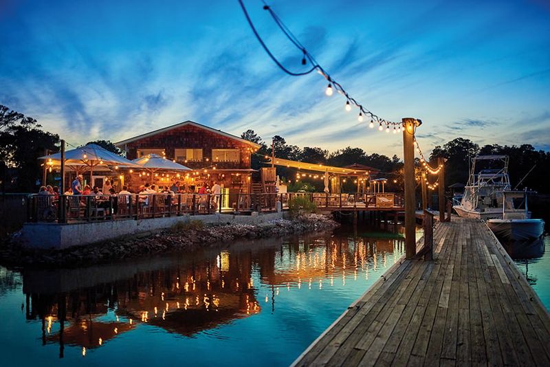 The Wyld Dock Bar