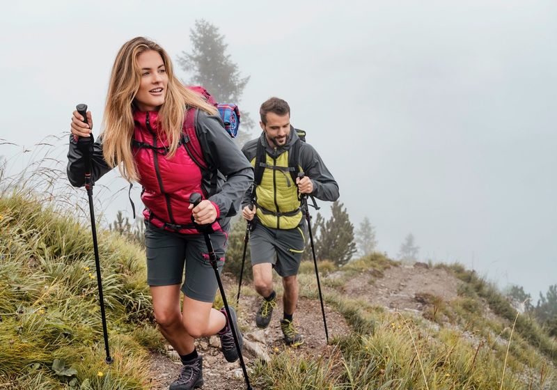 Trekking Poles (Carbon Fiber)