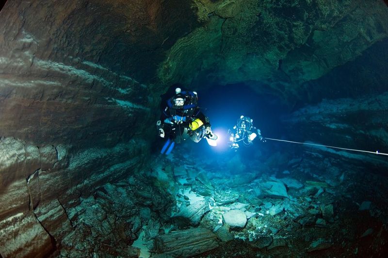 Thrilling Night Dives and Specialty Adventures