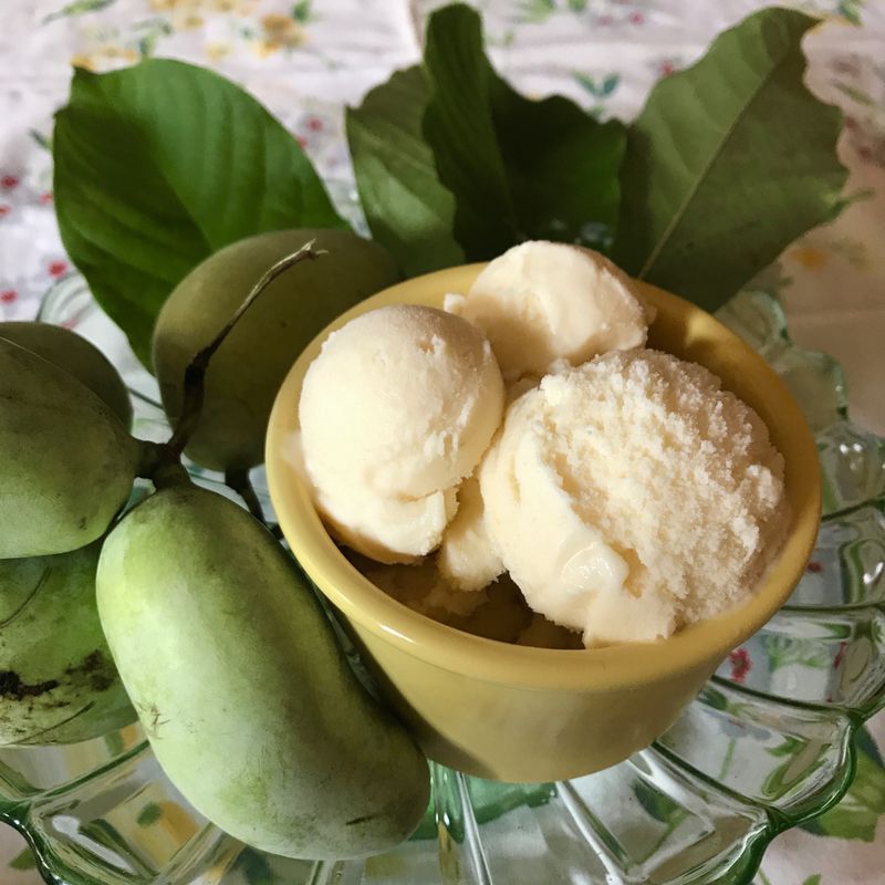Pawpaw Desserts