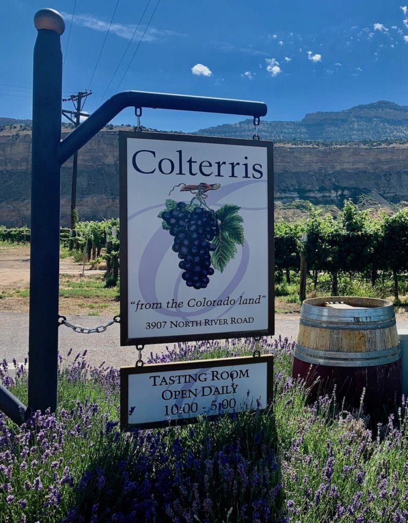 Surprising Variety of Unique Wine Flavors