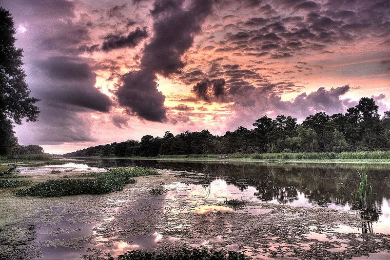 Bayou Sunsets Worth the Drive
