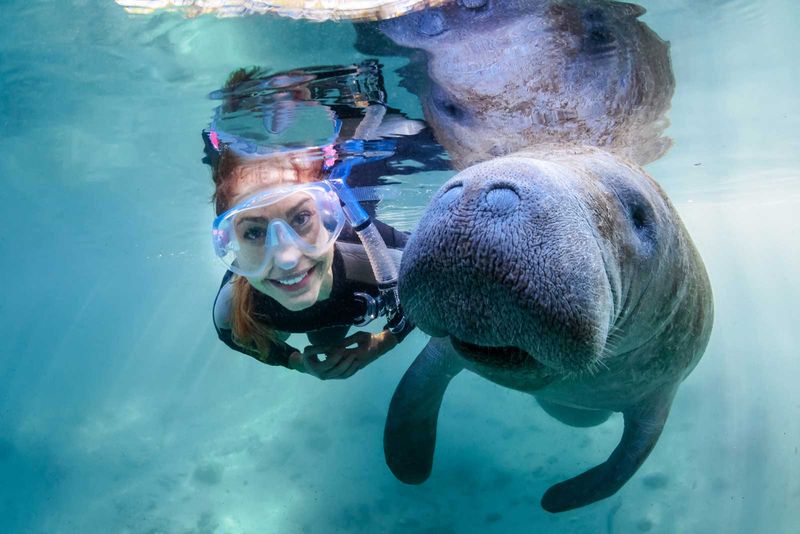 Small Town with Big Marine Attractions