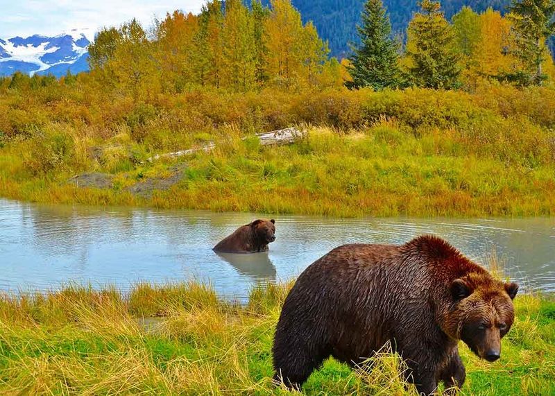 Chugach State Park