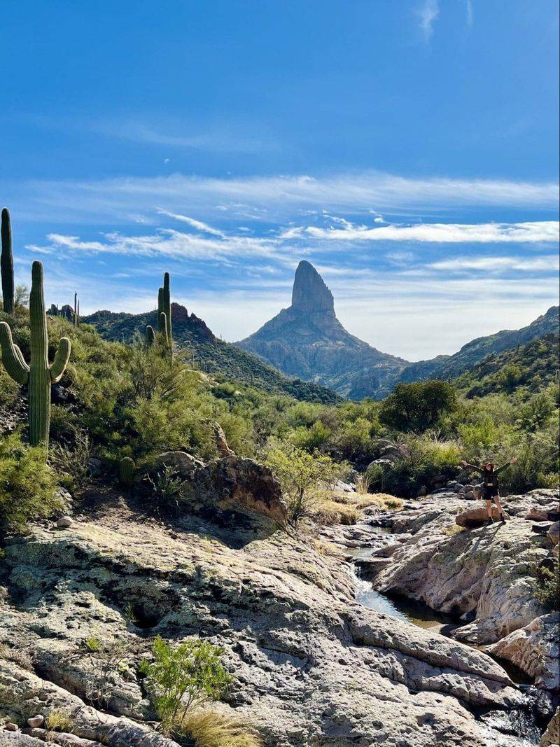 Peralta Trail to Fremont Saddle (Superstition Wilderness)