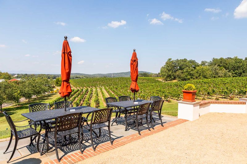 Palladio at Barboursville Vineyards — Barboursville (Orange County)