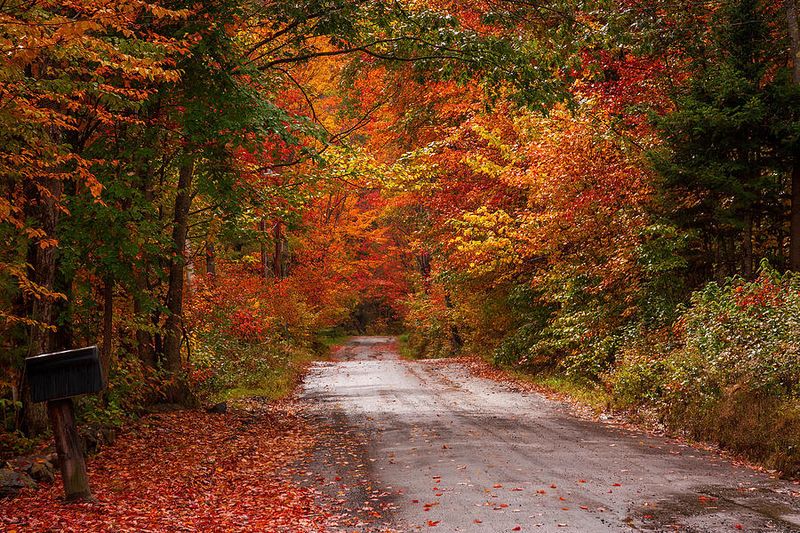 Stunning Fall Foliage