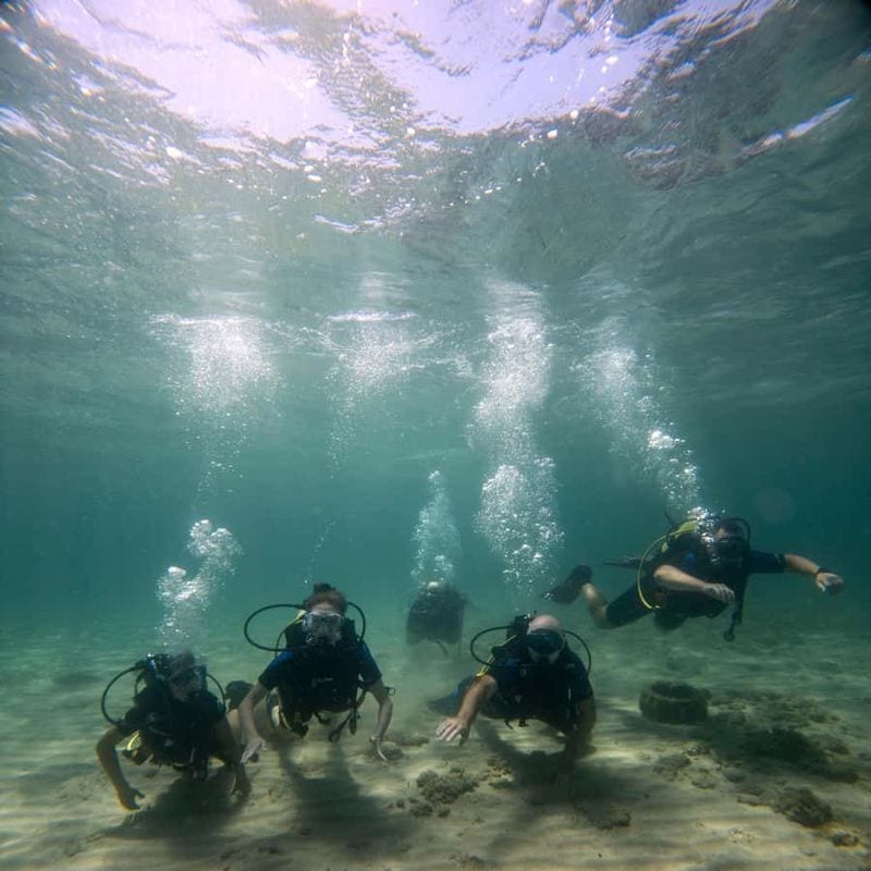 Snorkeling Paradise for Surface Explorers
