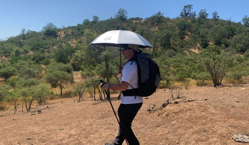 Zpacks Lotus UL Umbrella