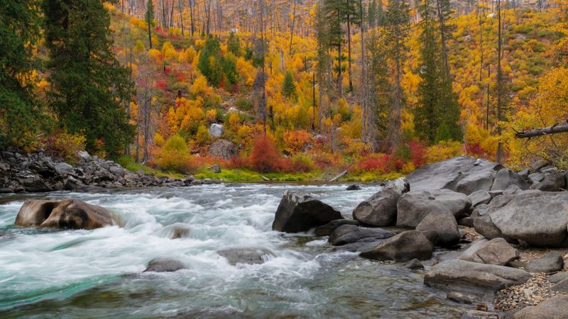 Witness Spectacular Fall Foliage Along Mountain Trails