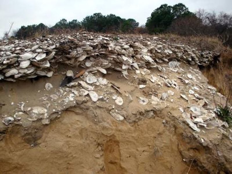 Marvel at the Ancient Shell Mound