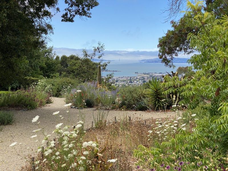 Wander Through the Botanical Garden