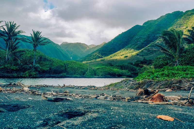Enjoy Solitude on an Island of 7,500 Residents