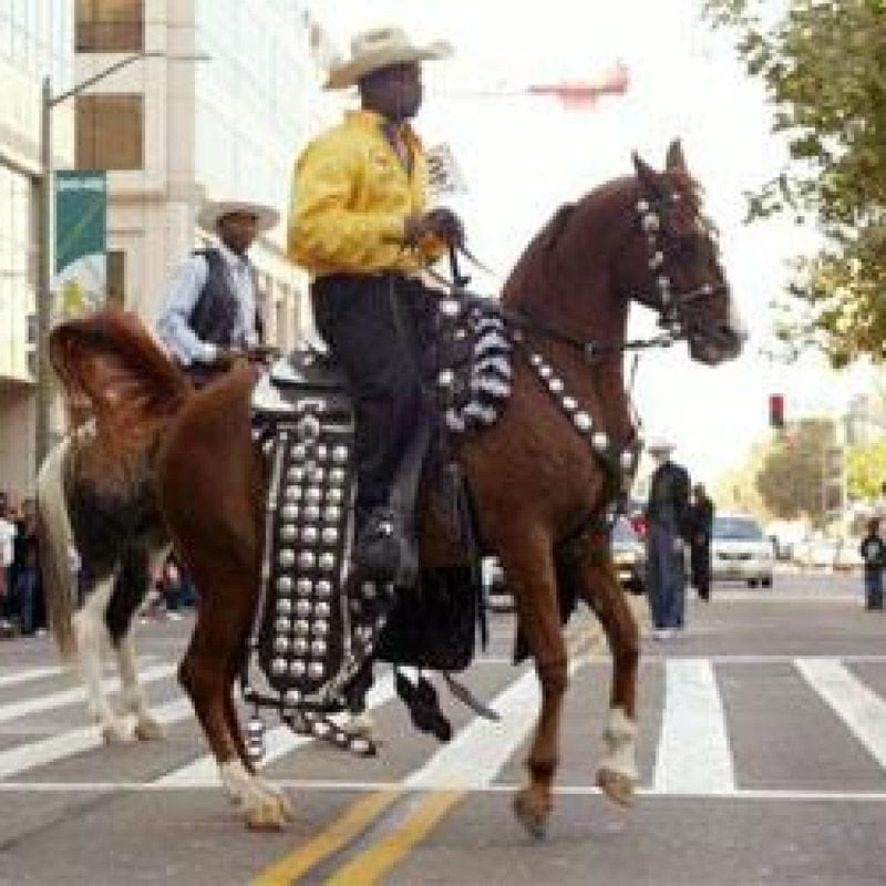 Nearly Five Decades of Western Heritage