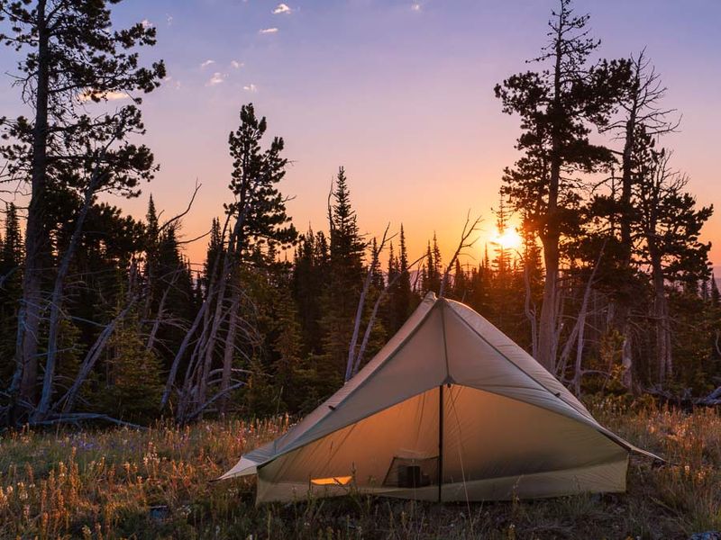 Shelter & Sleep System