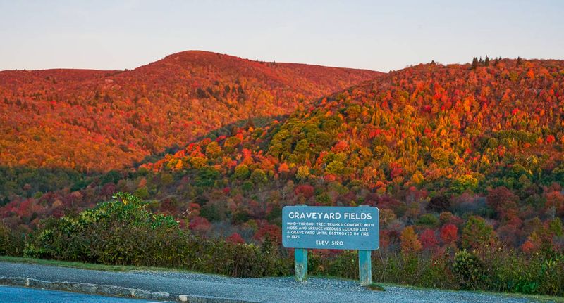 Graveyard Fields to Waterrock Knob (MP 418.8 → 451.2)
