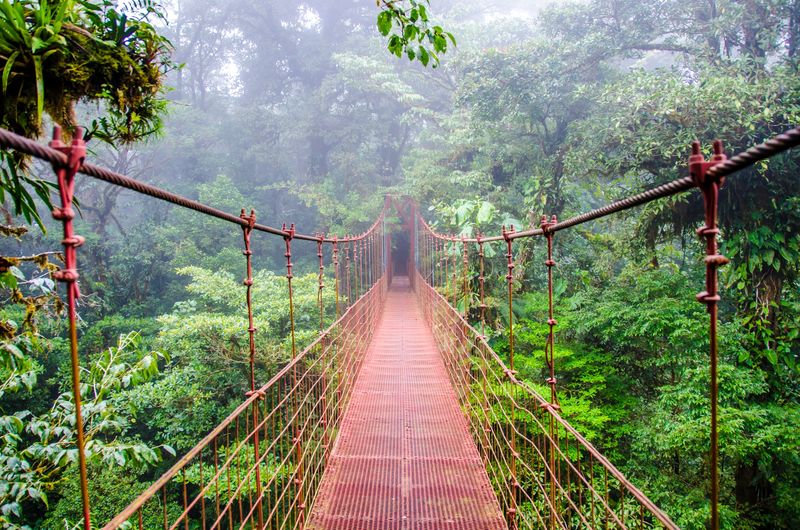 Monteverde Cloud Forest Reserve — Puntarenas, Costa Rica