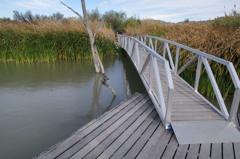 Rio Grande Village Nature Trail Birding