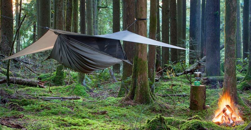 Hennessy Hammock Expedition Asym Zip