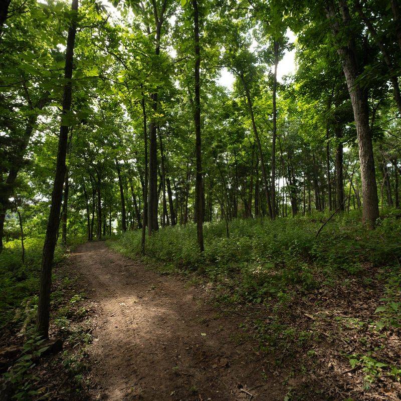 Ben Sapp Memorial Trail — Mark Twain State Park, Missouri
