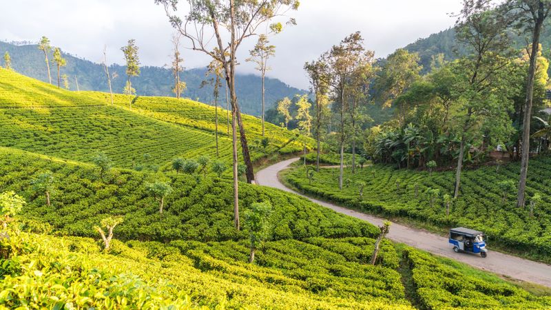 Sri Lanka
