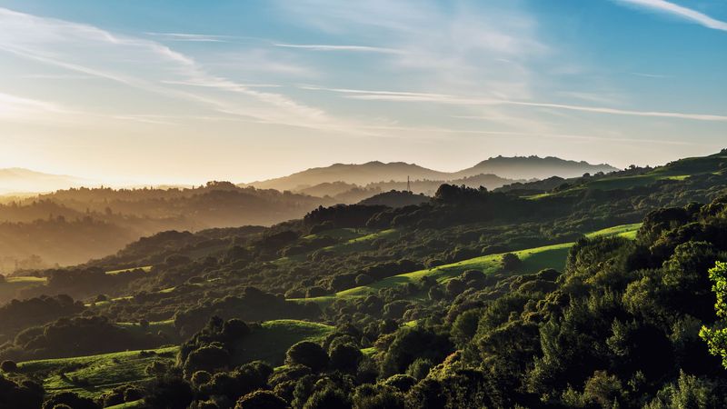 Breathe Fresh Air at Tilden Regional Park