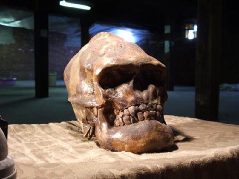Darker Mysteries of the Cave