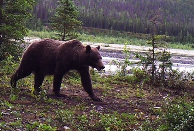 Wrangell–St. Elias National Park