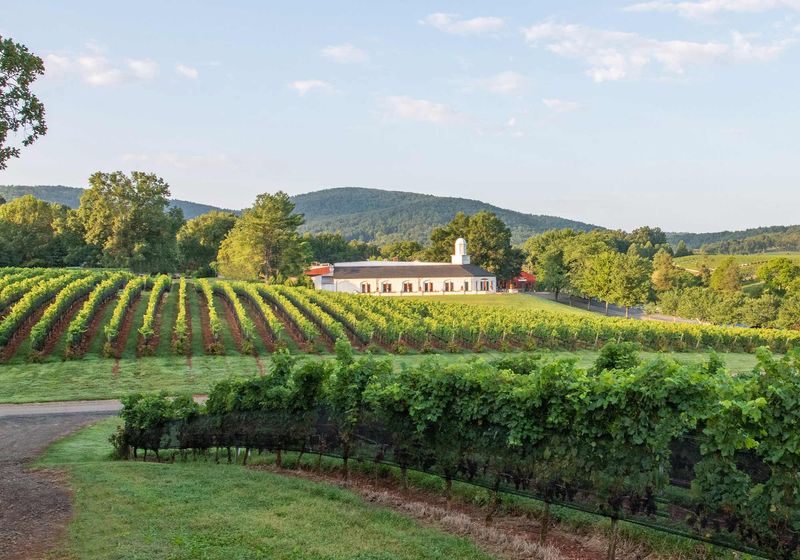 A More Intimate Wine Tourism Experience