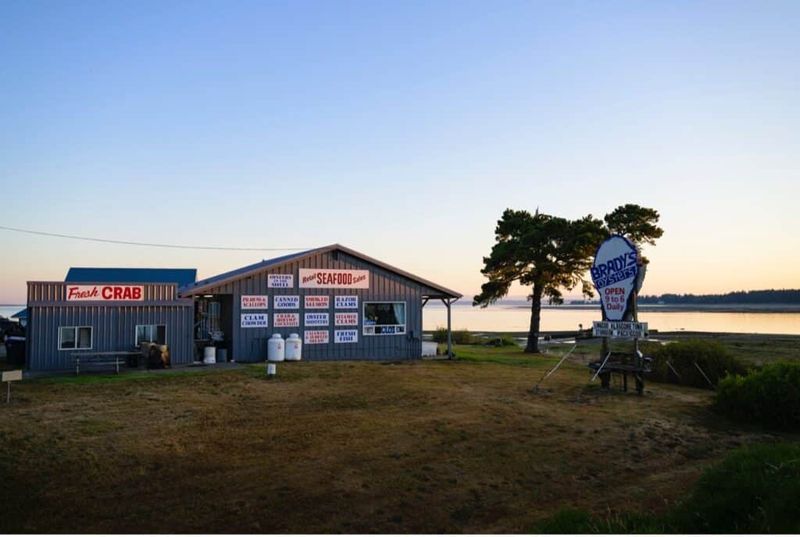 Brady’s Oysters