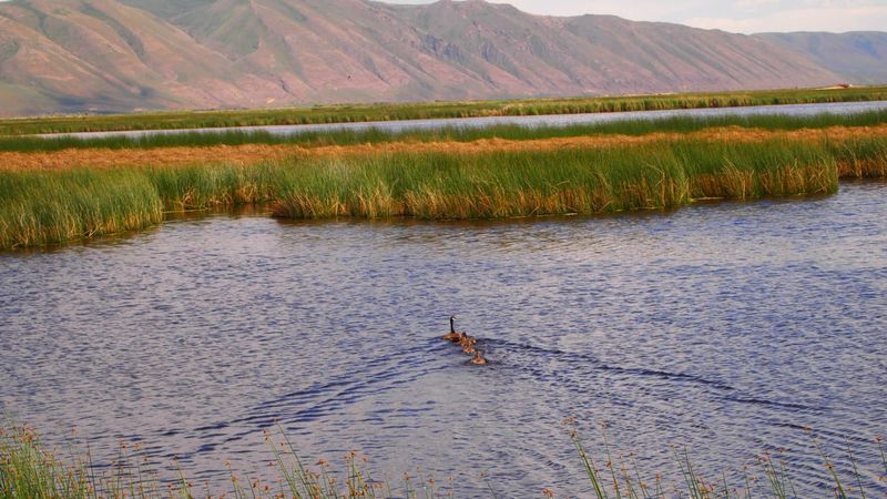 Bear Lake National Wildlife Refuge