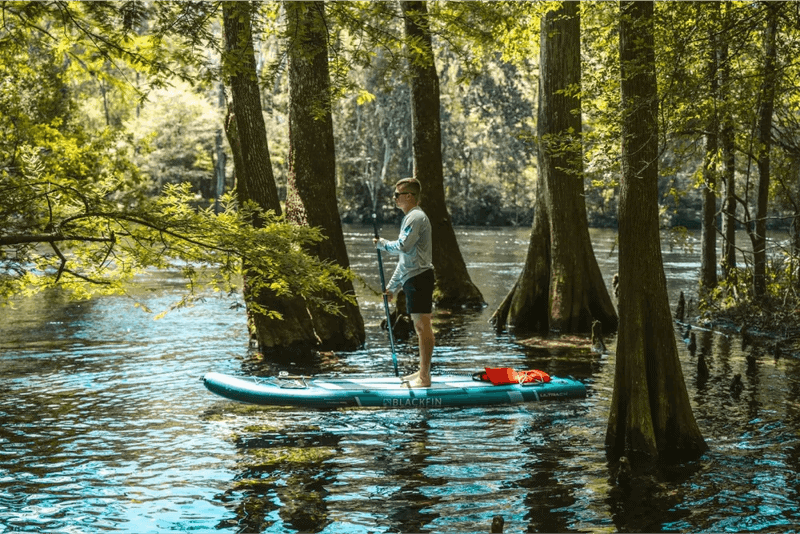 Year-Round Adventures Beyond Manatees