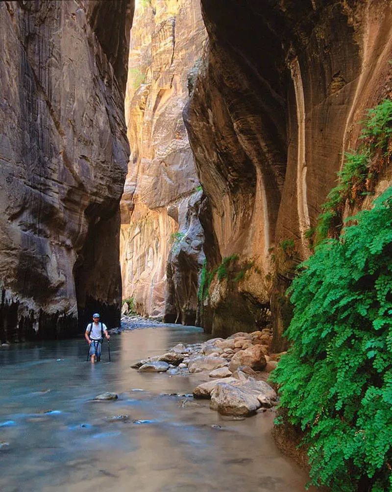 The Narrows (Bottom-Up), Zion National Park (UT)