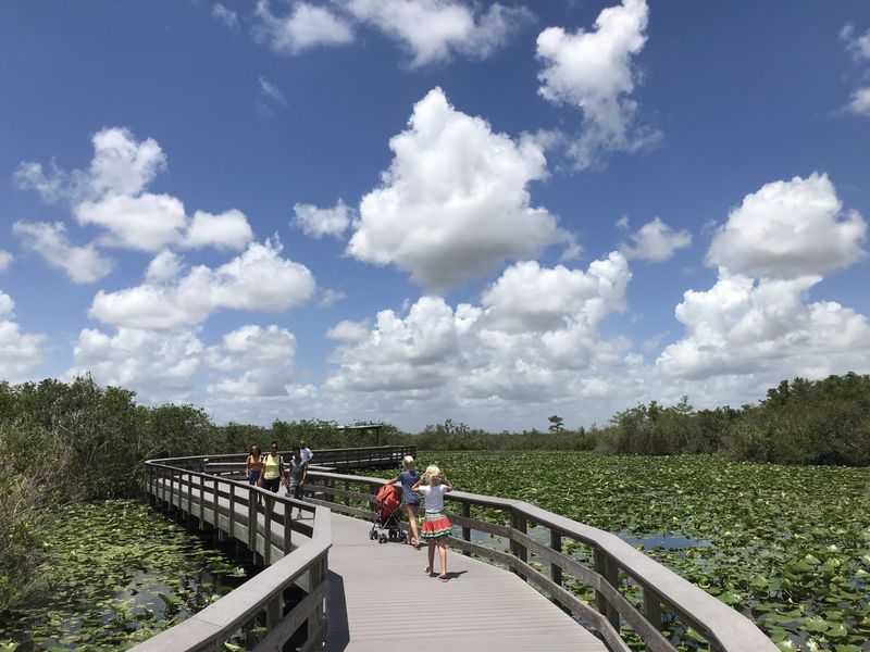 Anhinga Trail — Everglades National Park, FL