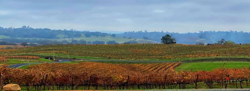 Gateway to Amador County Wine Country