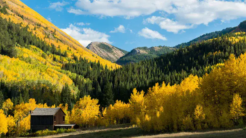 Perfect Timing for Peak Color