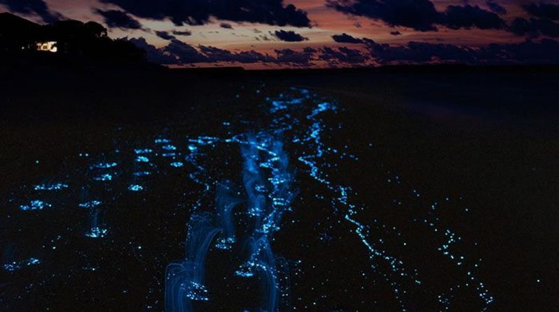 Local Guides Who Unlock the Experience