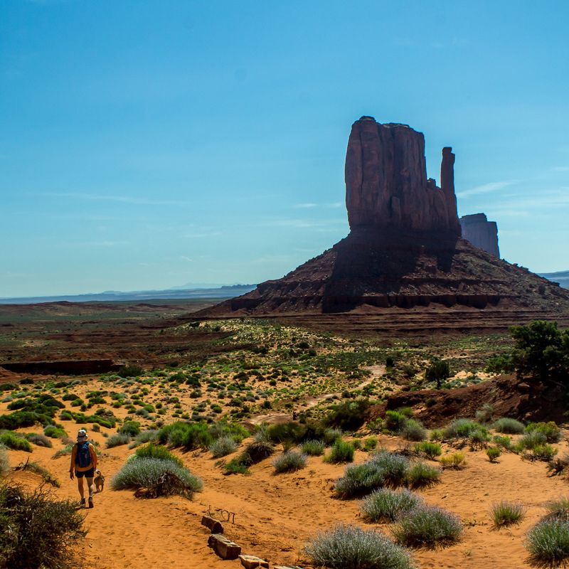 Wildcat Trail (Monument Valley Navajo Tribal Park)