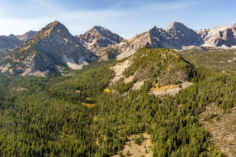 Salmon-Challis National Forest