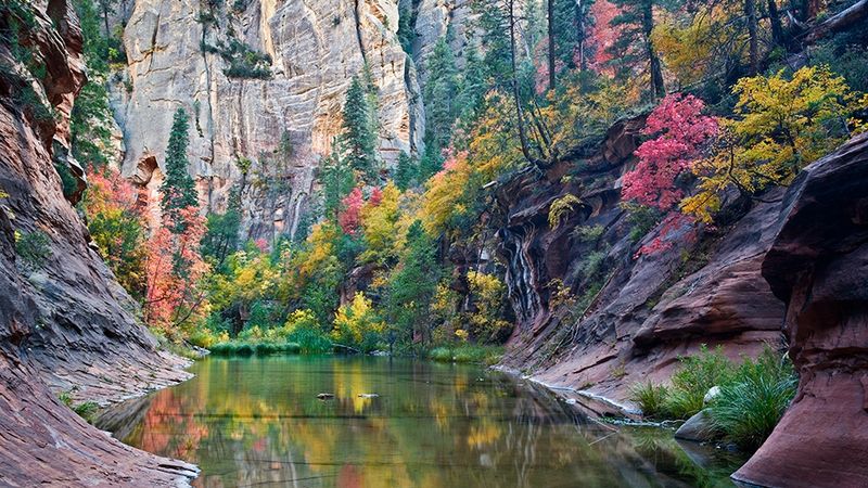 West Fork of Oak Creek (Sedona/Flagstaff)
