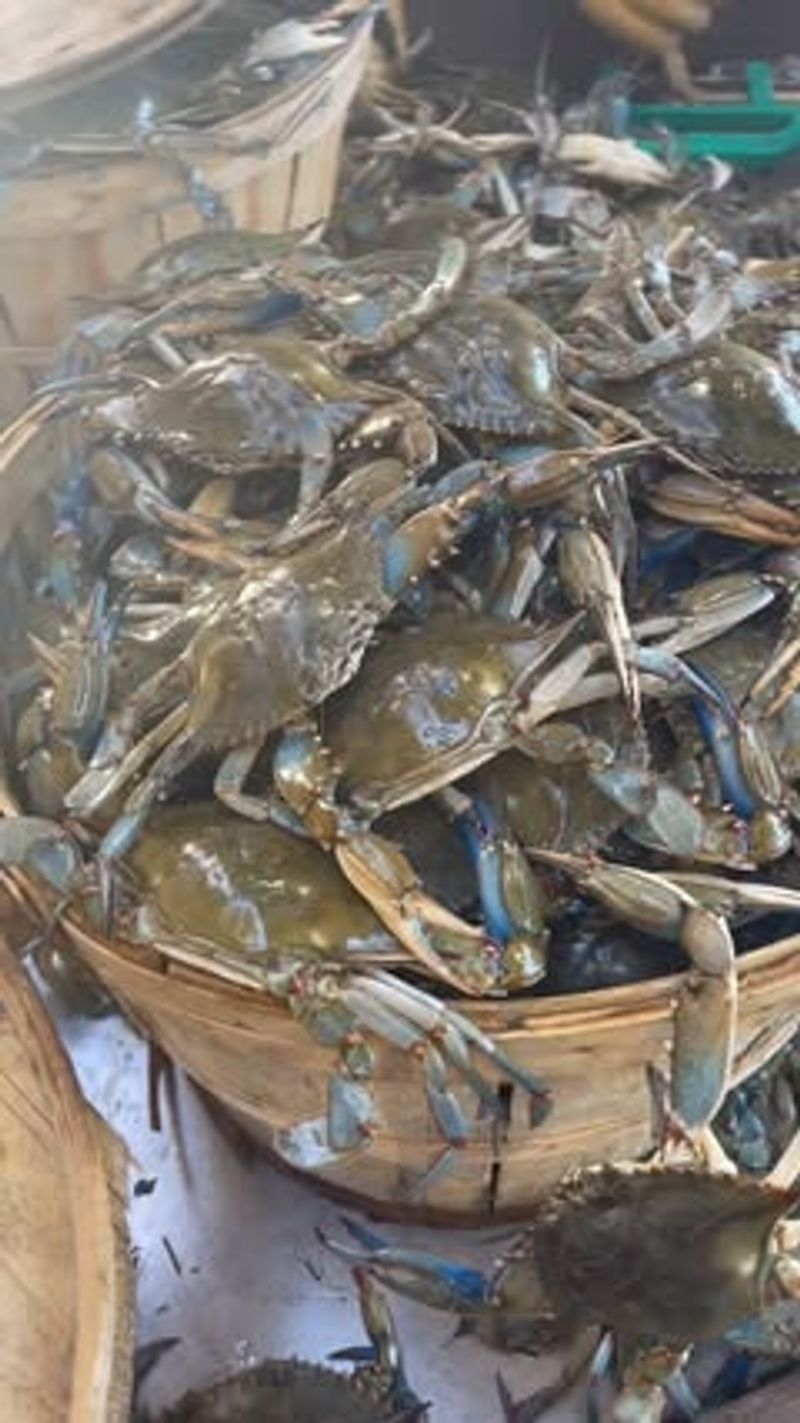 Taste Crisfield Seafood That's Shipped Nationwide