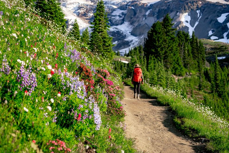 Skyline Trail, Mount Rainier National Park (WA)