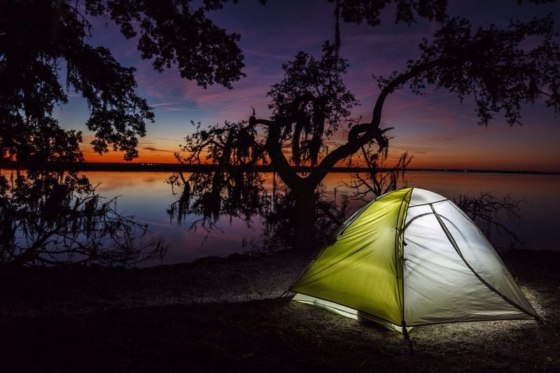Cumberland Island National Seashore, Georgia